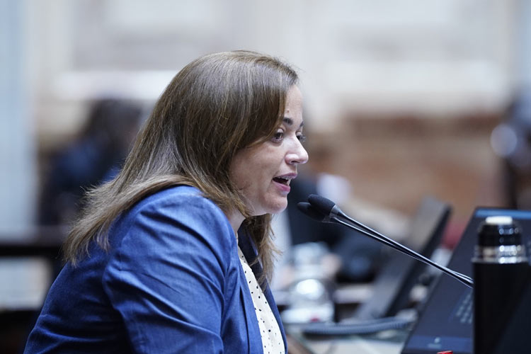 Cecilia Moreau: “los senadores de Juntos por el Cambio no tienen empatía ni responsabilidad política”