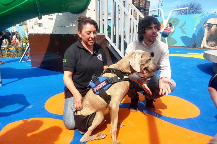 Durante la inauguración de una plaza para mascotas, el Intendente de San Fernando, Juan Andreotti, criticó las propuestas de Milei 