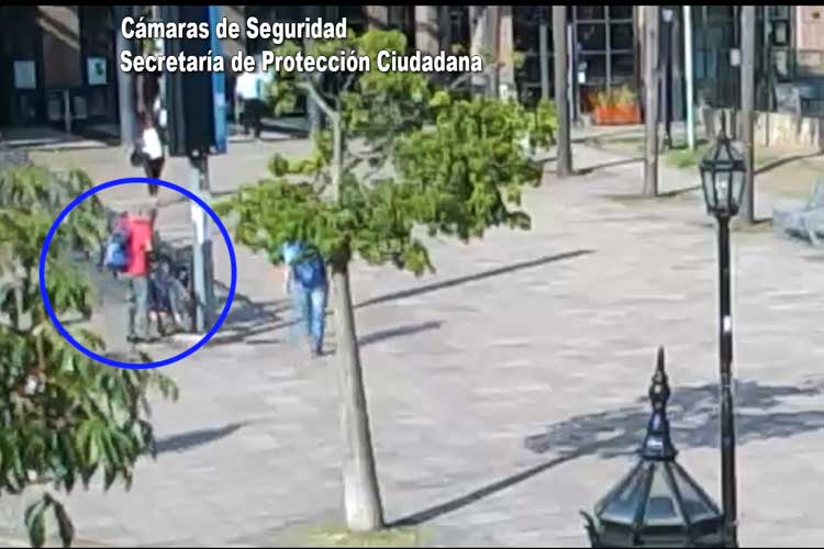 Las cámaras de Tigre lo captaron cuando robó una bicicleta y fue detenido por el COT