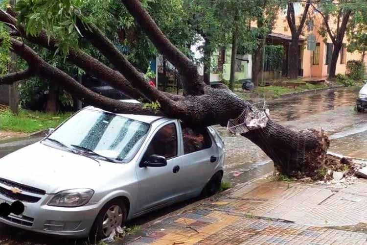 El Municipio de Tigre despliega un amplio operativo de contención por las consecuencias del temporal