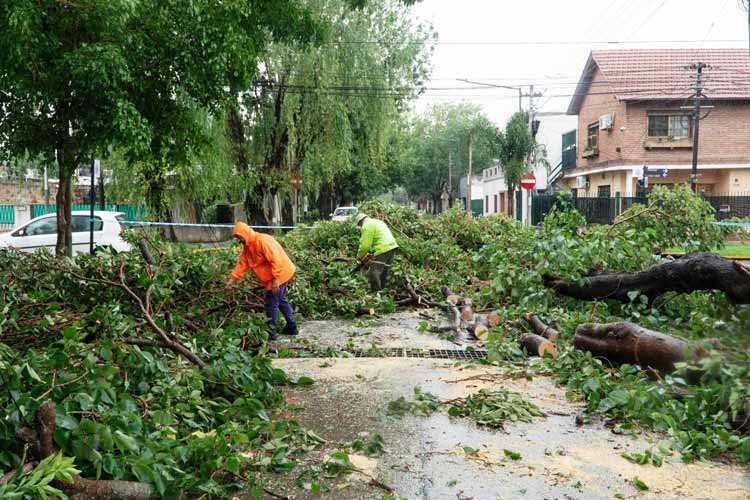 San Isidro desplegó más de 900 personas en operativos Post-Temporal