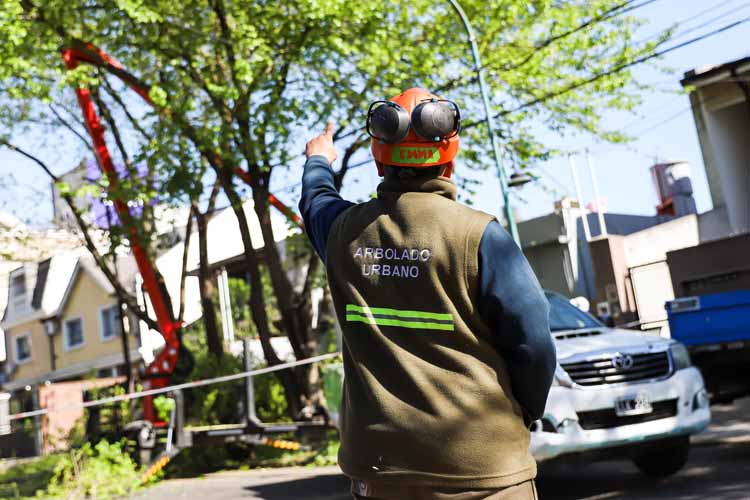 Vicente López abre la inscripción para los pedidos de poda en todos los barrios