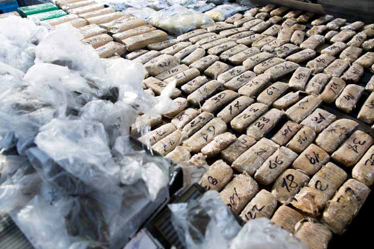 Patricia Bullrich encabezó la quema de 650 Kilos de Drogas en Tigre Patricia Bullrich encabezó la quema de 650 Kilos de Drogas en Tigre