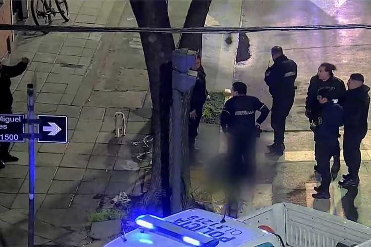 Muerte de Octavio Buccafusco en Vicente López: la Justicia analiza protocolos policiales y pericias toxicológicas Muerte de Octavio Buccafusco en Vicente López: la Justicia analiza protocolos policiales y pericias toxicológicas