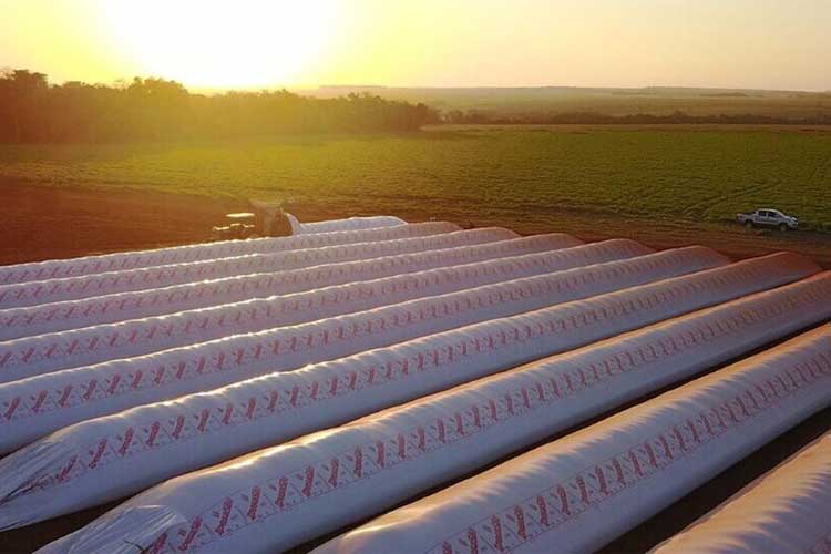 Sociedad Rural Argentina pidió la eliminación definitiva de las retenciones tras la baja temporal Sociedad Rural Argentina pidió la eliminación definitiva de las retenciones tras la baja temporal