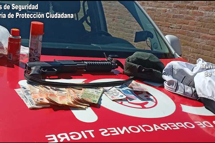 Robo en Ricardo Rojas: el COT Tigre detuvo a una pareja armada tras una persecución Robo en Ricardo Rojas: el COT Tigre detuvo a una pareja armada tras una persecución
