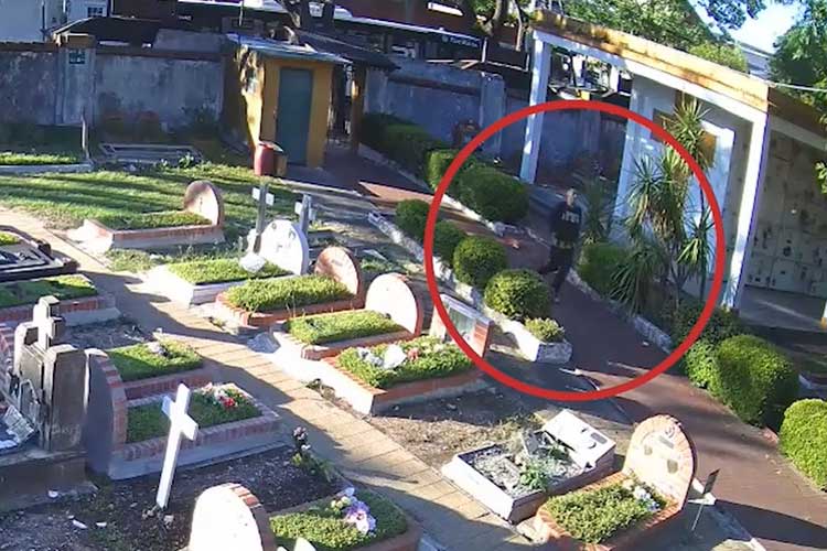 Vicente López: la Inteligencia Artificial permitió detener a un ladrón en el Cementerio de Olivos