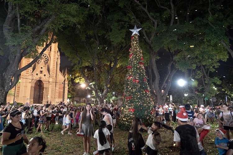 Navidad en San Isidro 2025: conciertos gratuitos, talleres en plazas y el encendido del árbol en la Catedral