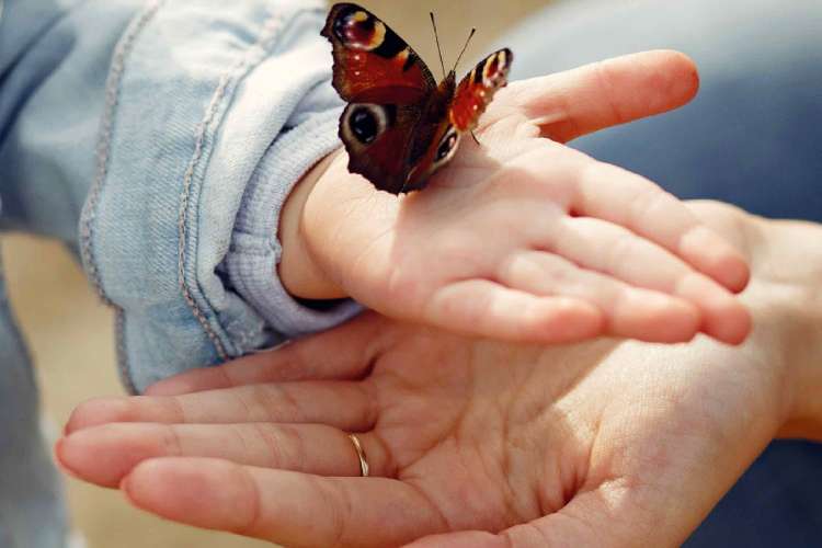 Programa Afianzando Lazos en Tigre: acompañamiento municipal para quienes buscan adoptar niños, niñas y adolescentes