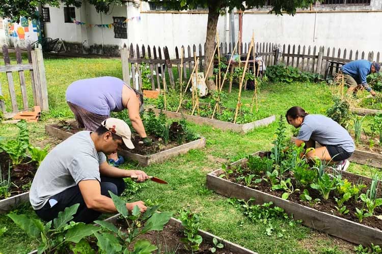 Realizan jornadas de huerta comunitaria en Don Torcuato para fomentar la alimentación saludable