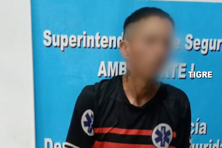 Don Torcuato: robó dinero y un celular en un comercio y fue detenido tras huir por los techos