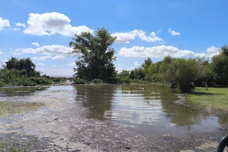 El clima que se viene: más lluvias y la vuelta de El Niño en el radar