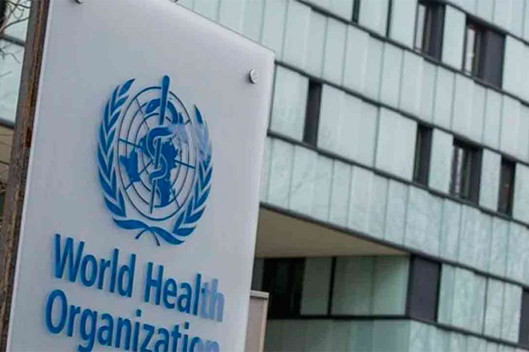 Organización Mundial de la Salud (OMS)