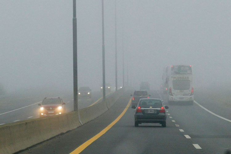 Alerta por niebla en Buenos Aires: Transporte bonaerense pide extremar cuidados en rutas y caminos