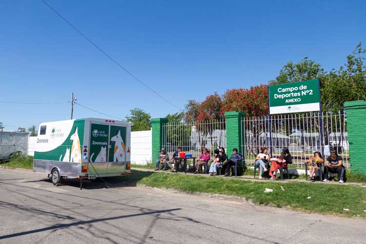 San Isidro registró un aumento del 17% en las castraciones de perros y gatos durante 2026 San Isidro registró un aumento del 17% en las castraciones de perros y gatos durante 2026