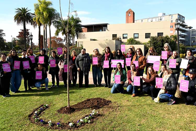 Ni Una Menos en Tigre: Gisela Zamora encabezó una jornada en el Museo de Arte Tigre con plantación de un jacarandá