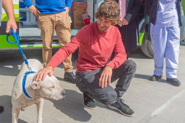 San Fernando prohibió la venta de animales y los criaderos de mascotas