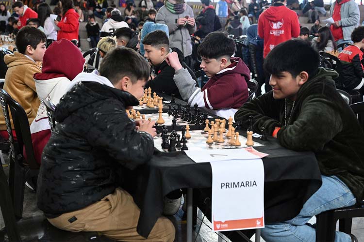 El HCD de Tigre aprobó por unanimidad declarar al distrito Ciudad del Ajedrez
