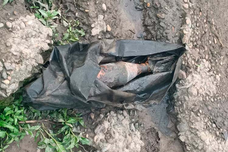 San Isidro: hallaron un artefacto similar a un mortero a la vera del Río de la Plata