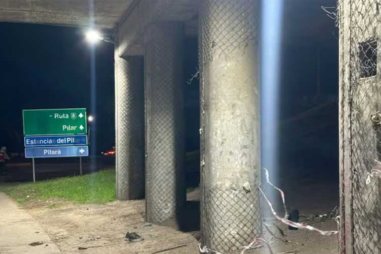 Pilar: fue a vender huevos y terminó baleada por su pareja debajo de un puente de Panamericana