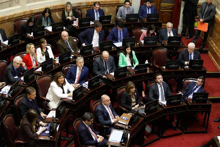 Zonas Frías: el Senado convirtió en ley el recorte del subsidio de gas para más de un millón de usuarios