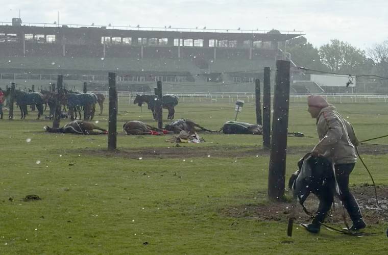  San Isidro: un rayo mató a cuatro yeguas de polo y dejó herido a un cuidador