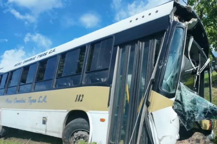 Un colectivo chocó con un auto y terminó en un zanjón en El Talar: hubo varios heridos