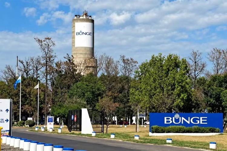 Bunge cerró una planta en Campana y despedirá a 110 trabajadores