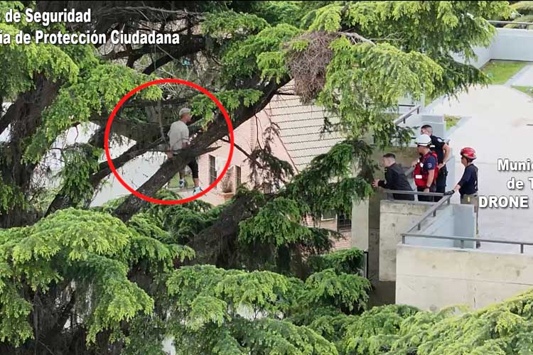 Un ladrón quedó atrapado en un árbol al intentar escapar de una casa en General Pacheco